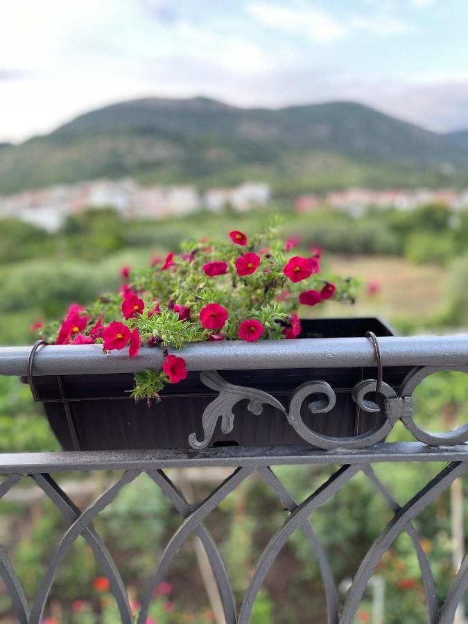 Petivat Gardens Apartment Bagian luar foto