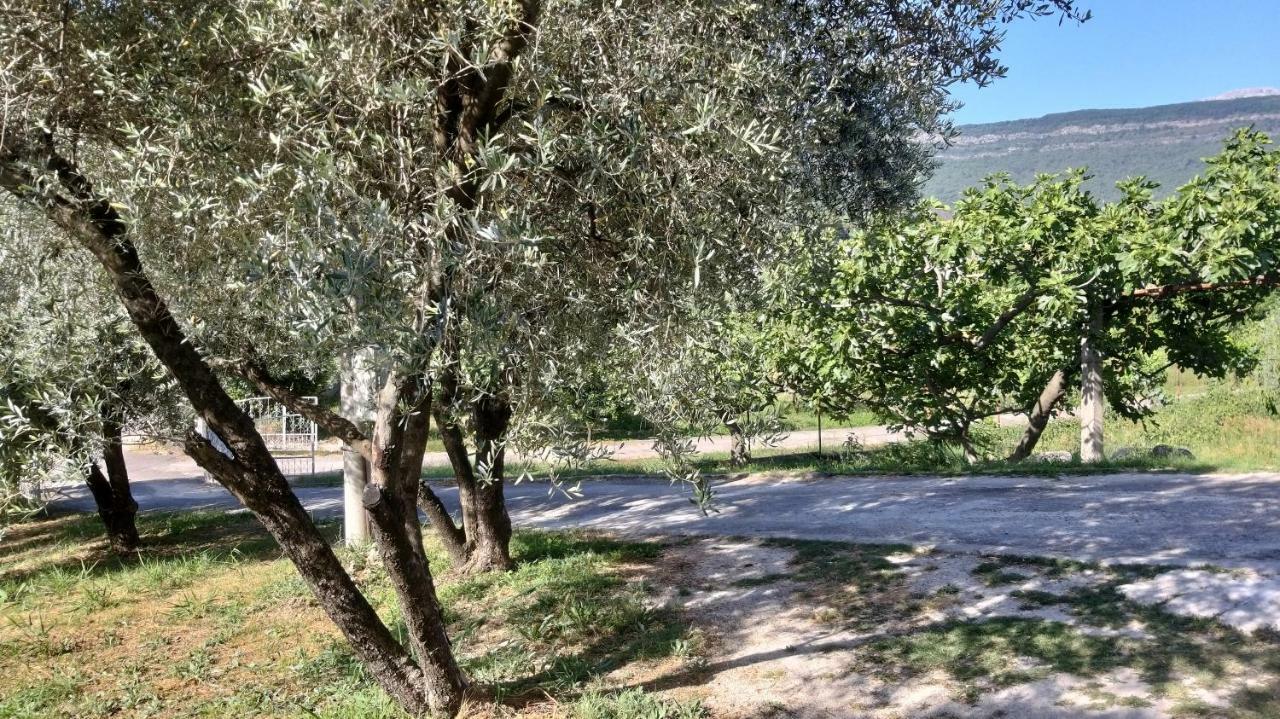 Petivat Gardens Apartment Bagian luar foto