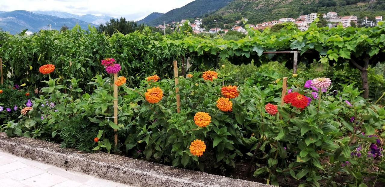 Petivat Gardens Apartment Bagian luar foto